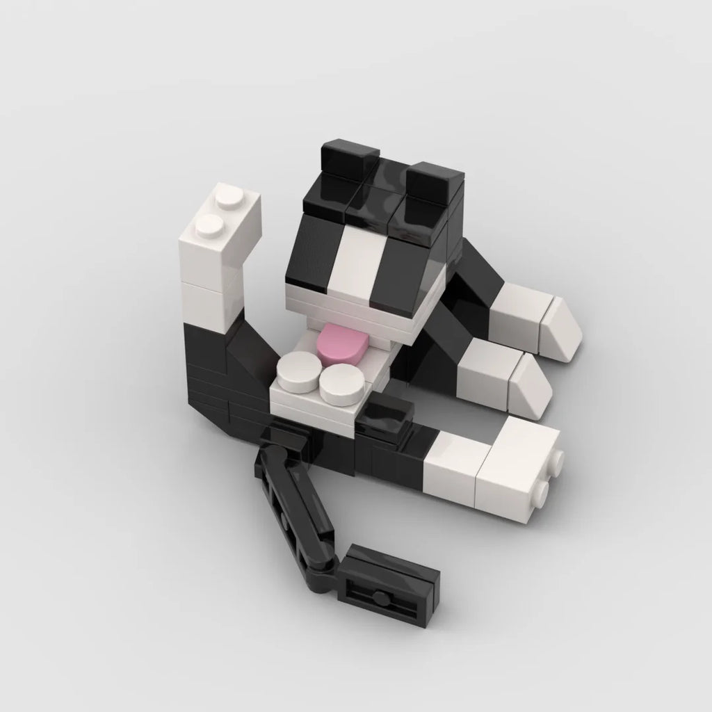 aidropship:39e8692adb13