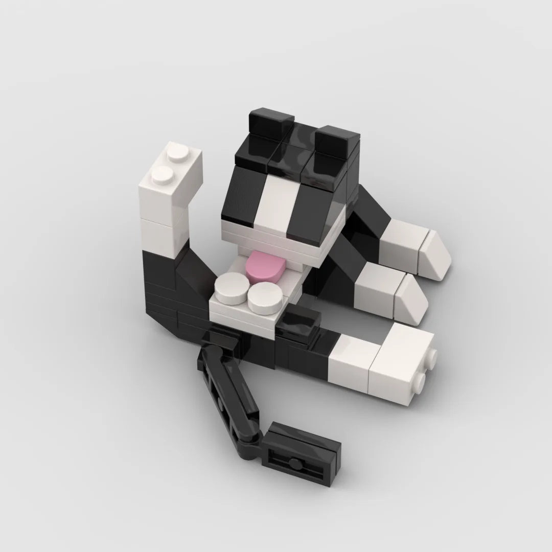 aidropship:39e8692adb13